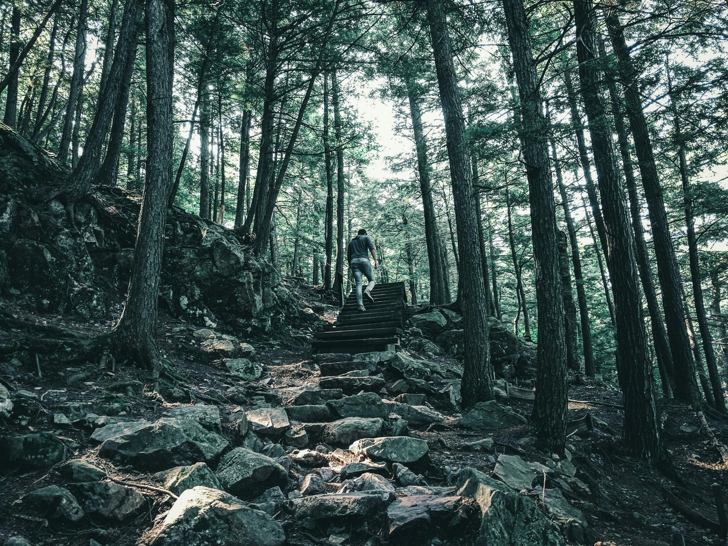 Healthy Snacks to Pack for Gatineau Park Hikes